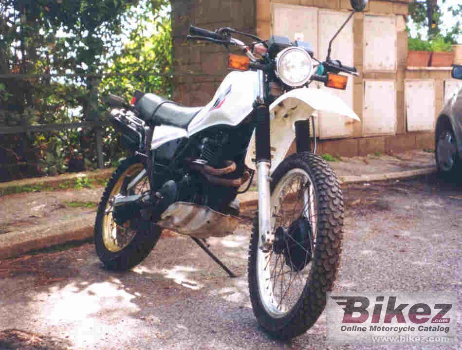 Big damiano migani xt 500 picture and wallpaper from Bikez.com